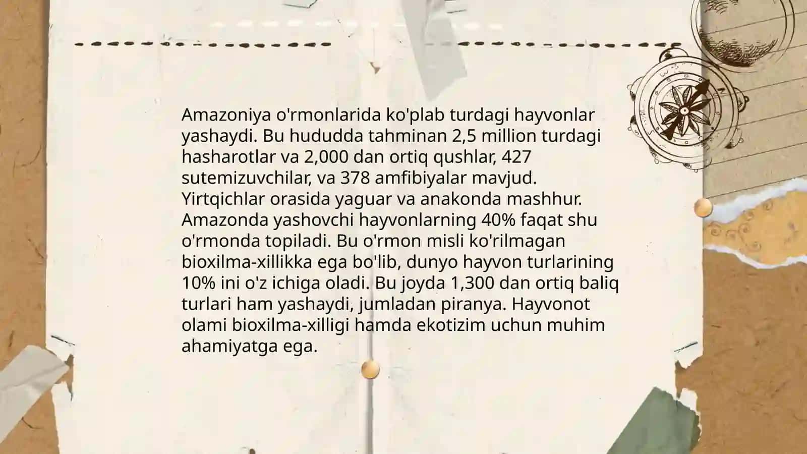 Amazoniya órmonlari 4