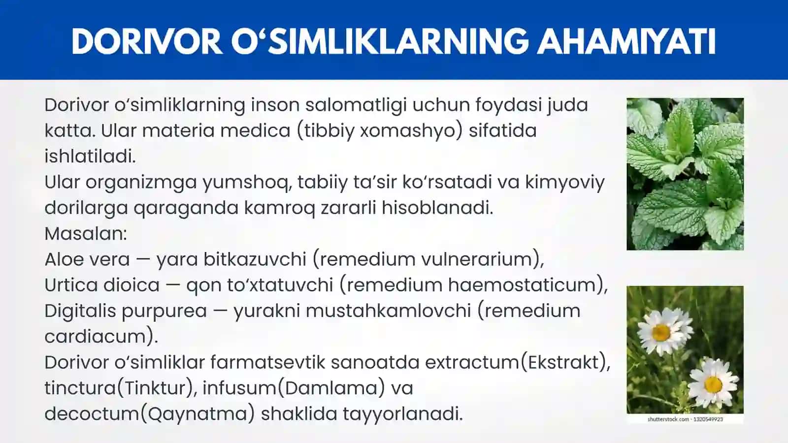 Dorivor oʻsimliklar 4