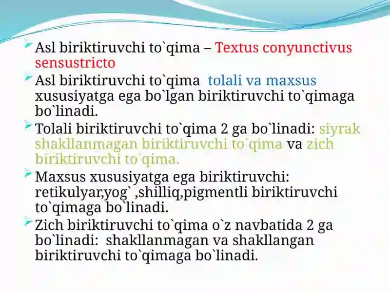 Biriktiruvchito`qimaninghujayraviyelementlari 4
