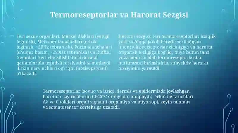 Teri funksiya anatomiyasi 4