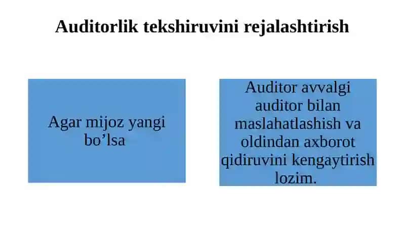 AUDITORLIK TEKSHIRUVINI REJALASHTIRISH 4