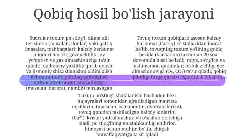 Tuxum po'stlog'ining tuzilmalari 4
