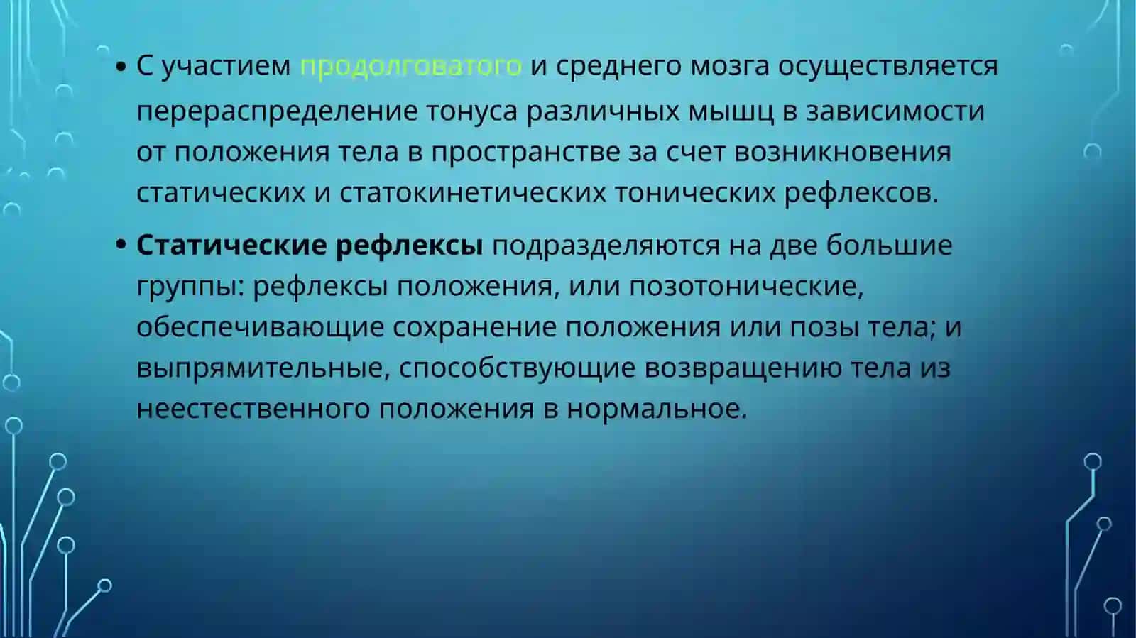 Физиология Центральной Нервной Системы 4