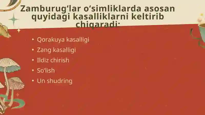 Zamburugʻ kasalliklar va ularga qarshi kurashish 4