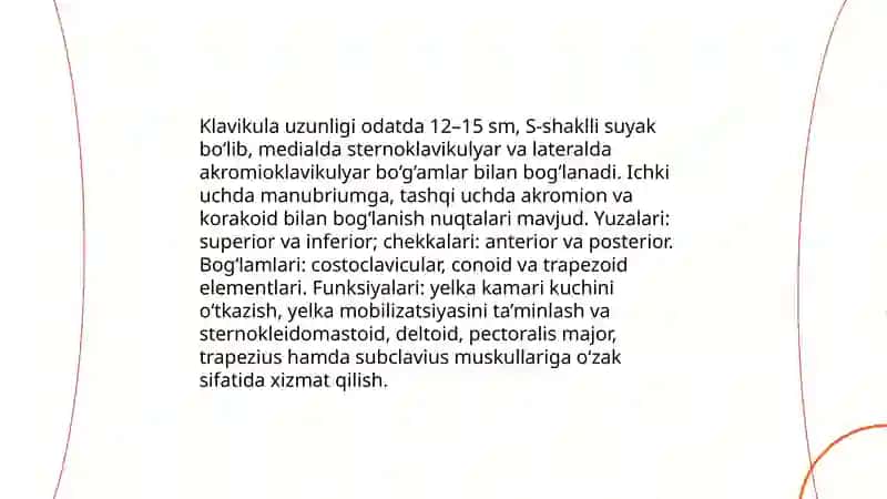 Yelka kamari va yelka mushaklari 4