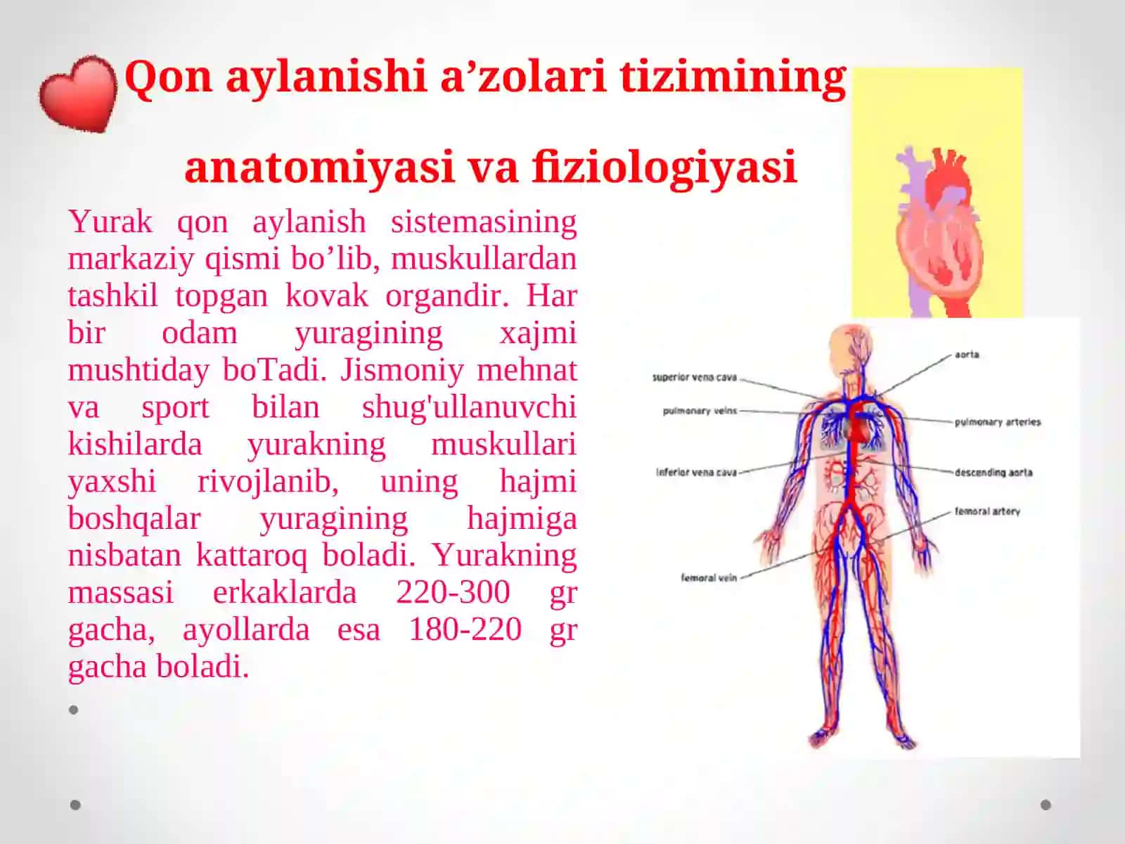 "Qon aylanish a'zolari tizimini baholash" 4