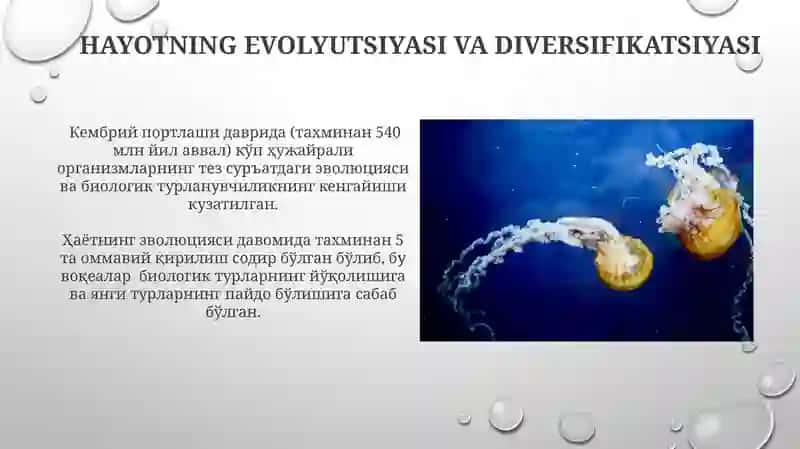 Kimyoviy va biologik evolutsiya 4
