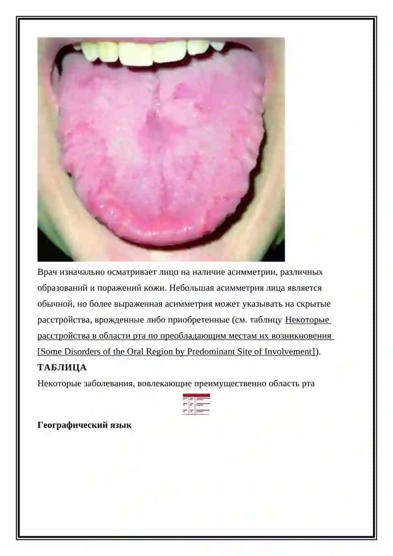 Клиническая анатомия зубов 4