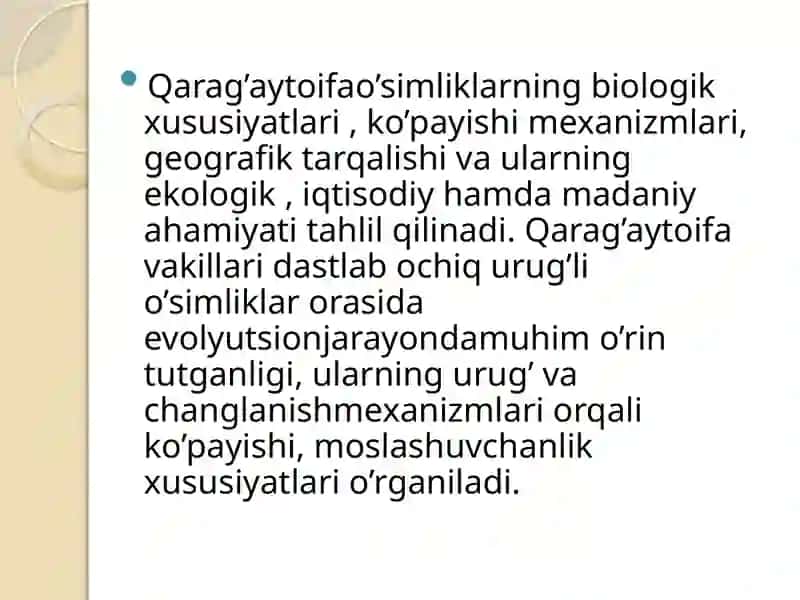 Qarag’aytoifa 4