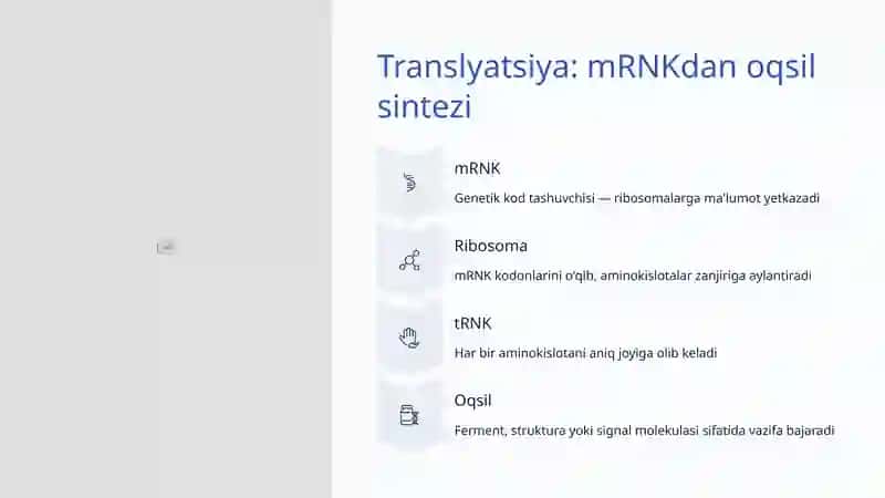 Gen ekspressiyasi 4