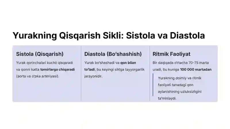 Yurak Faoliyatini Boshqarishning O‘ziga Xosligi 4