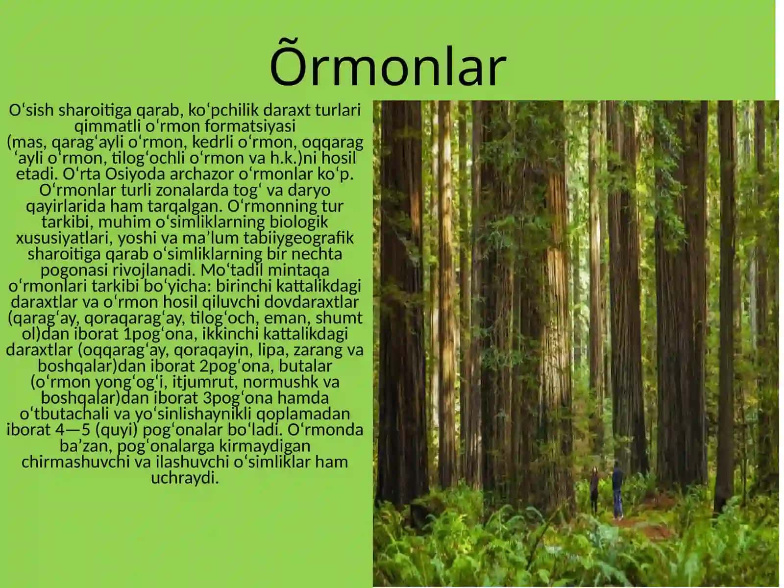 Õrmondan foydalanish va muhofaza qilish 4