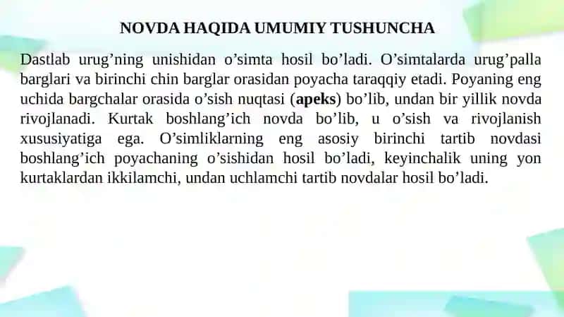 Novda 4