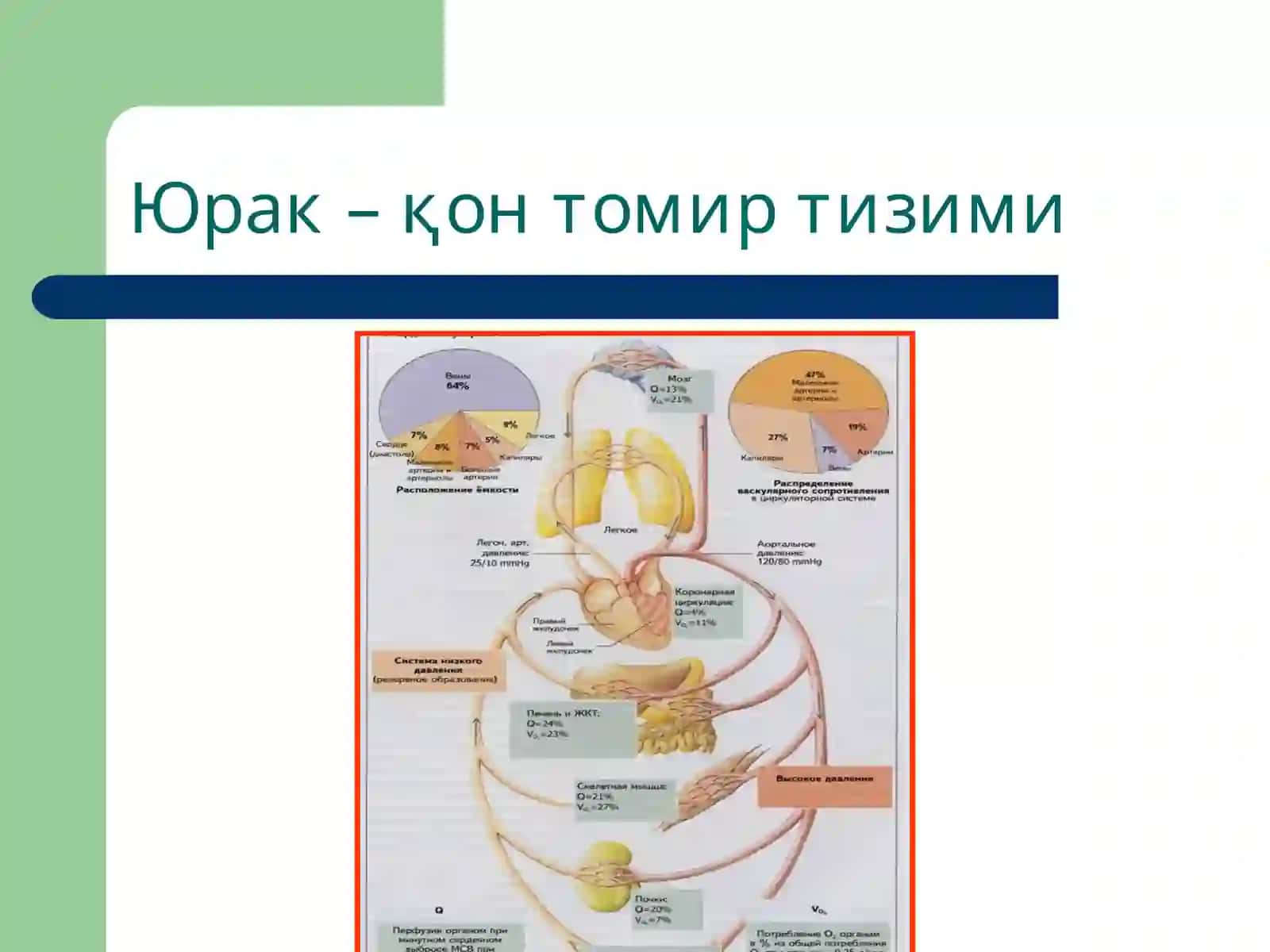 Физиологик маълумотлар билан таъминланган юрак ишини таърифловчи мақола 4