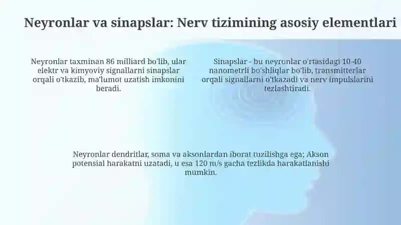 Nerv sistemasining tuzilishi 4