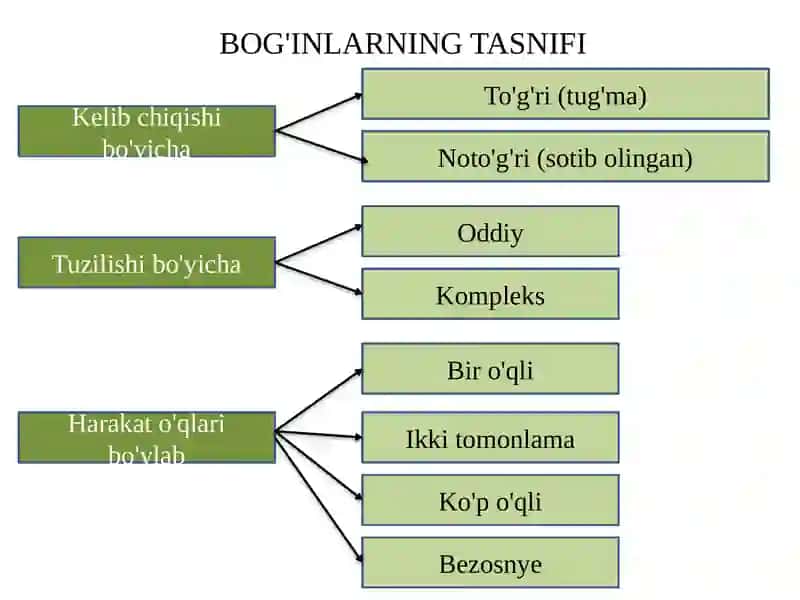 SUYIK BO‘G‘IMLARI TURLARI 4