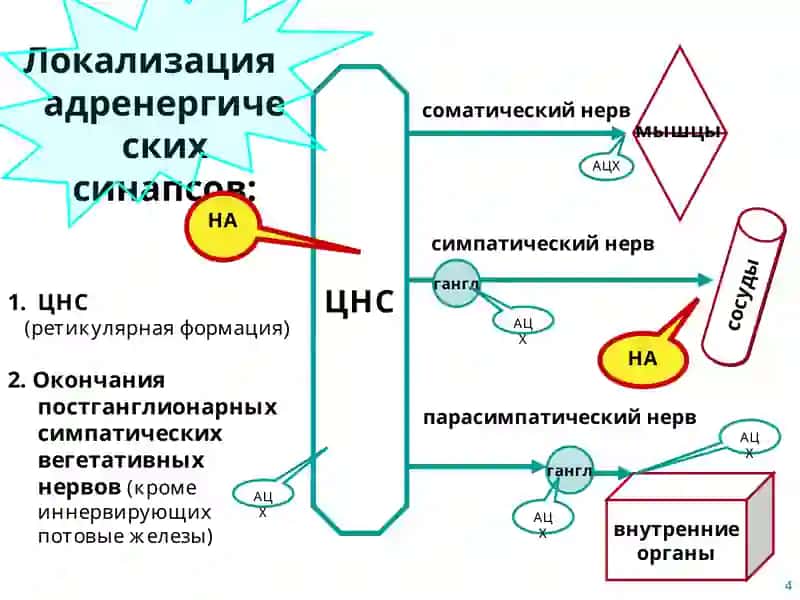 Адренергические средства 4