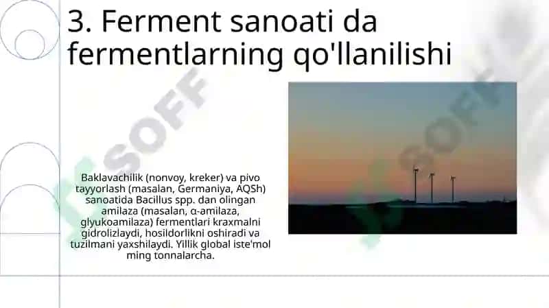 Fermentlar va ulardan ishlab chiqarishda foydalanish 5