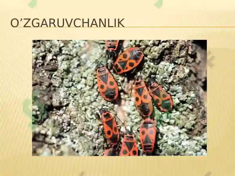 UMUMIY GENETIKA ASOSLARI 5