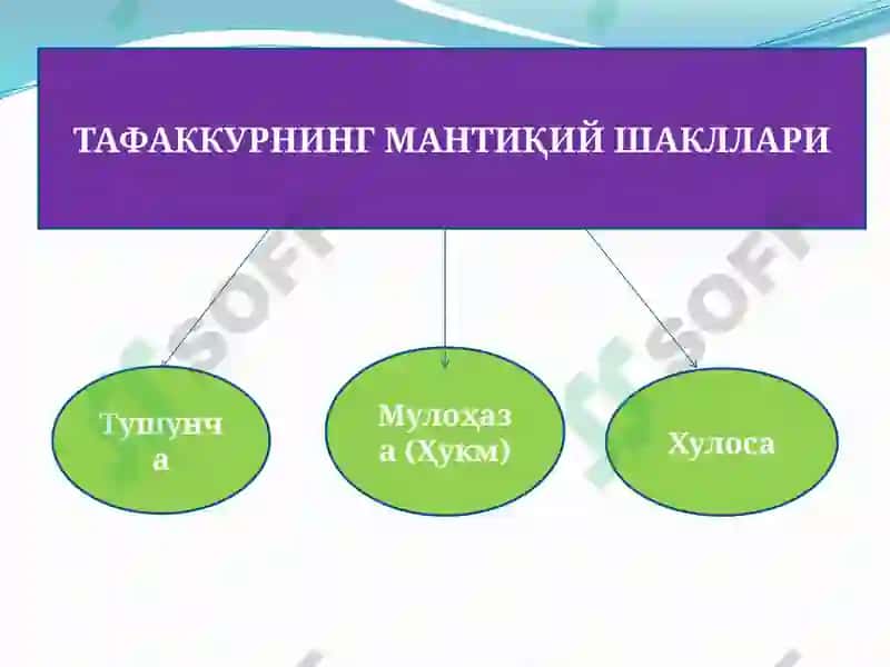 Тафаккурнинг мантиқий шакллари ва қонунлари 5