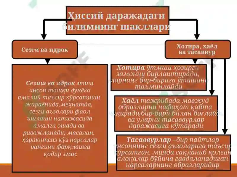 3-МАВЗУ: БИЛИШ НАЗАРИЯСИ 5