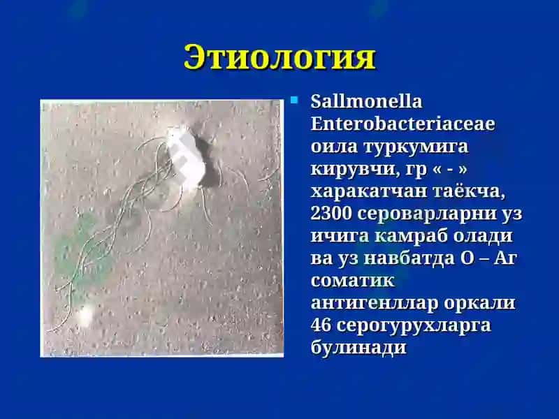 Сальмонеллез 5