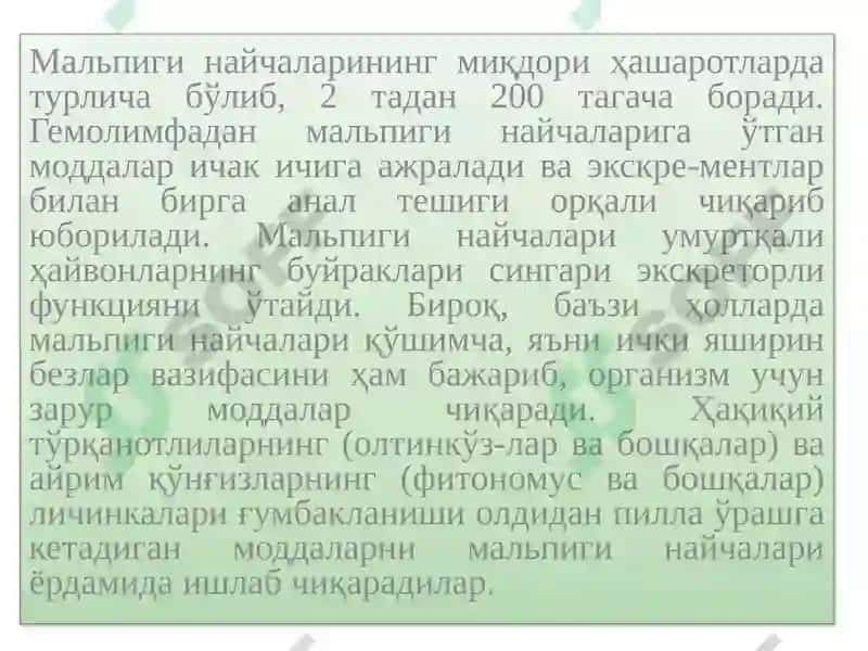 Ҳашаротларнинг овқат ҳазм қилиш тизими 5