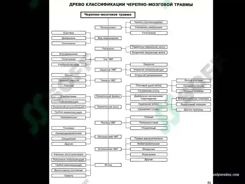 Бош мия шикастланишлари 5
