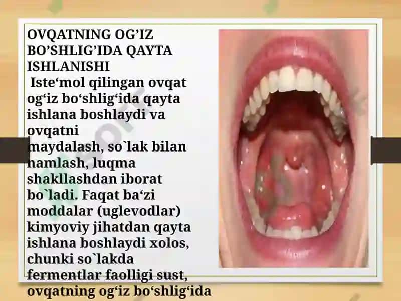 HAZM FIZIOLOGIYASI 5