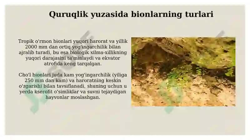 Quruqlik yuzasidagi bionlar 5