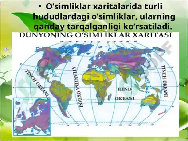 Geografik xarita 5