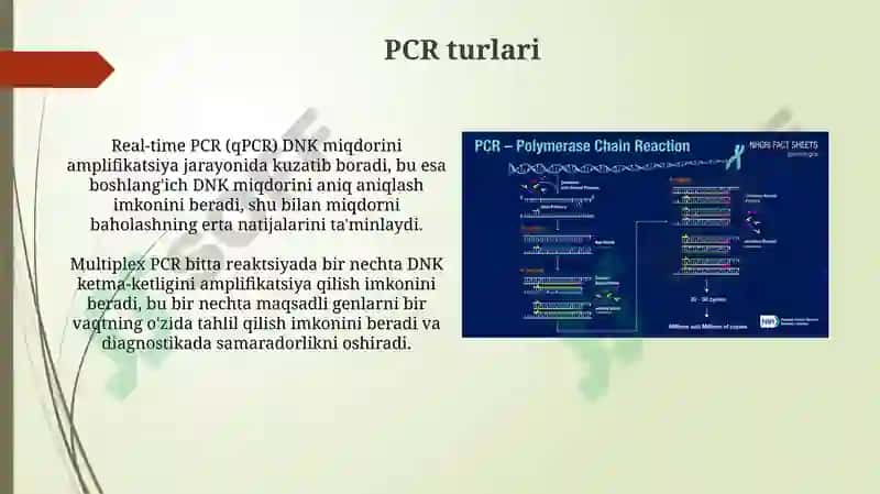 PCRning asosiy tamoyillari 5