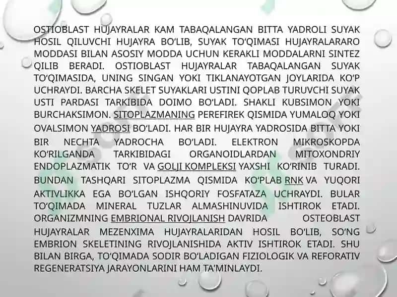 Suyakto’qimasining mineral tarkibi 5