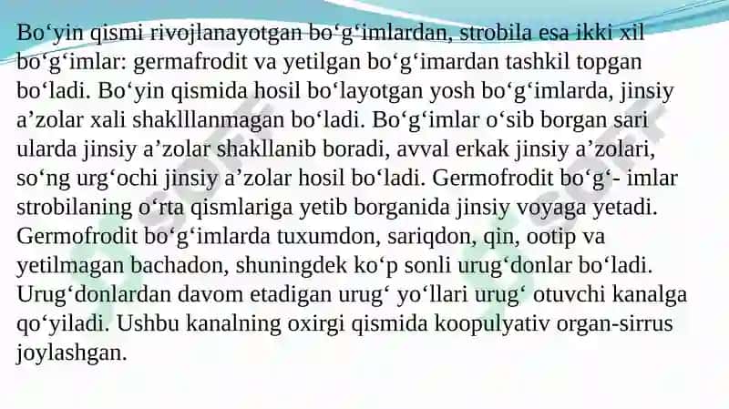 TASMASIMON (LЕNTASIMON) CHUVALCHANGLAR 5
