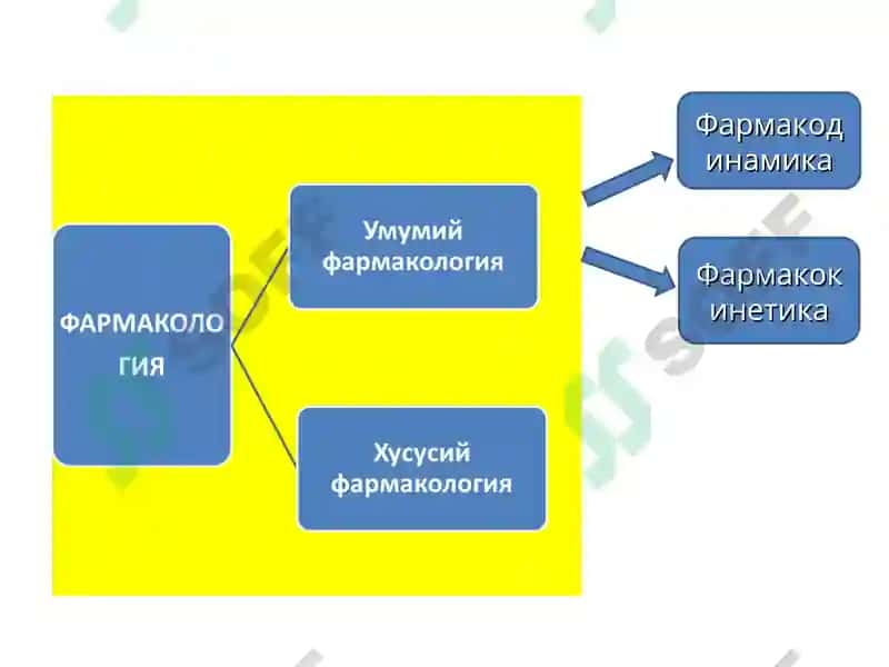 Умумий фармакология 5