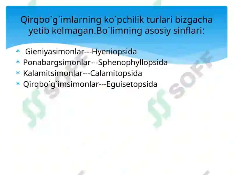 Qirqbo`g`imtoifao`simliklar 5