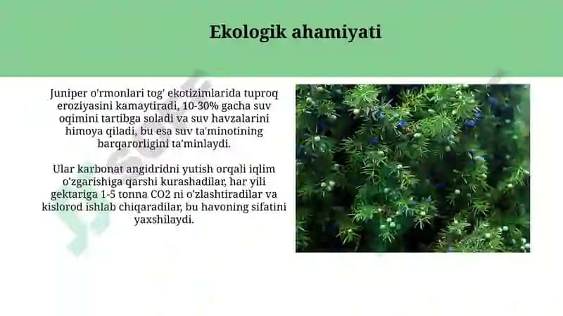 Markaziy Osiyoning archazorlari 5
