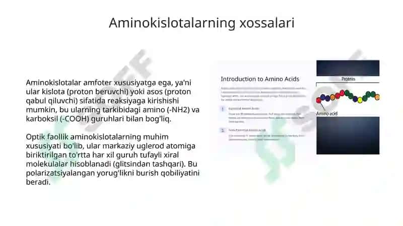 Aminokislotalar va oqsillar 5