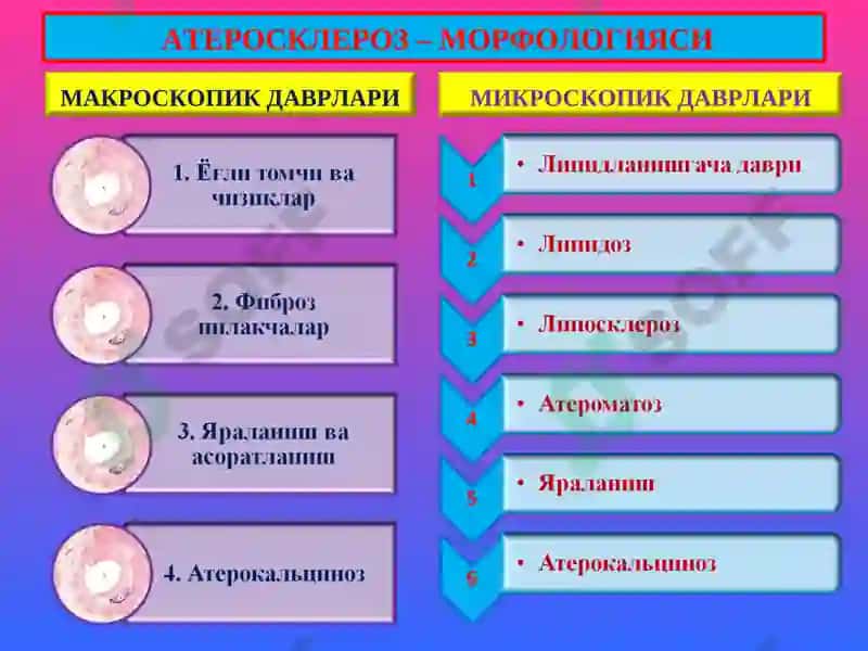 ПАТОЛОГИК АНАТОМИЯ 5