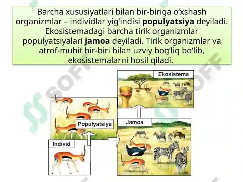 Ekosistemalardagi o‘zaromunosabatlar 5
