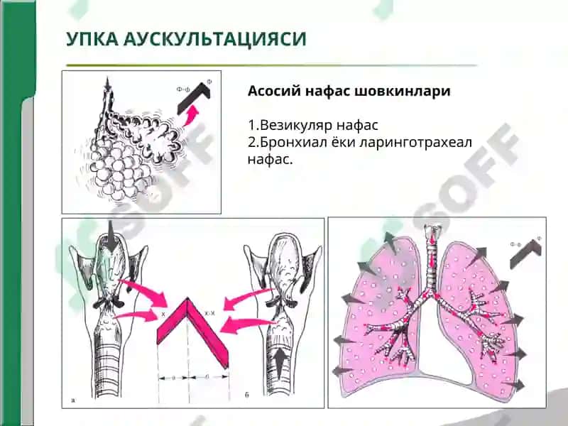 УПКА АУСКУЛЬТАЦИЯСИ 5