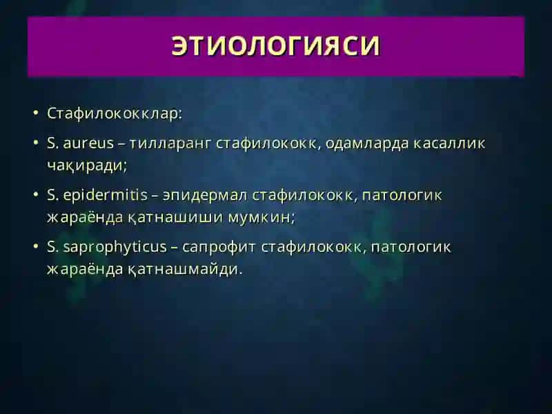Терининг йирингли касалликлари 5