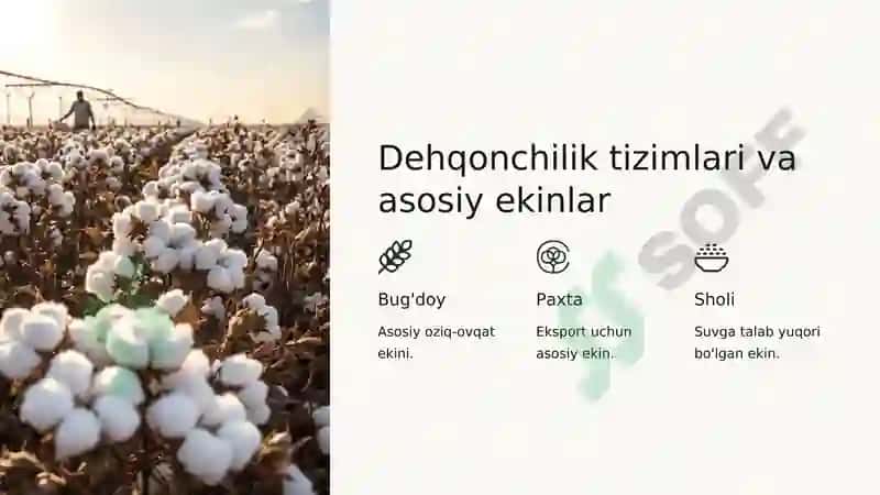 Buxoro amirligi ijtimoyi iqtisodiy hayoti 5