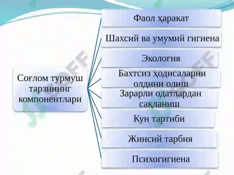 Соғлом турмуш тарзи ва унинг таркибий қисмлари 5