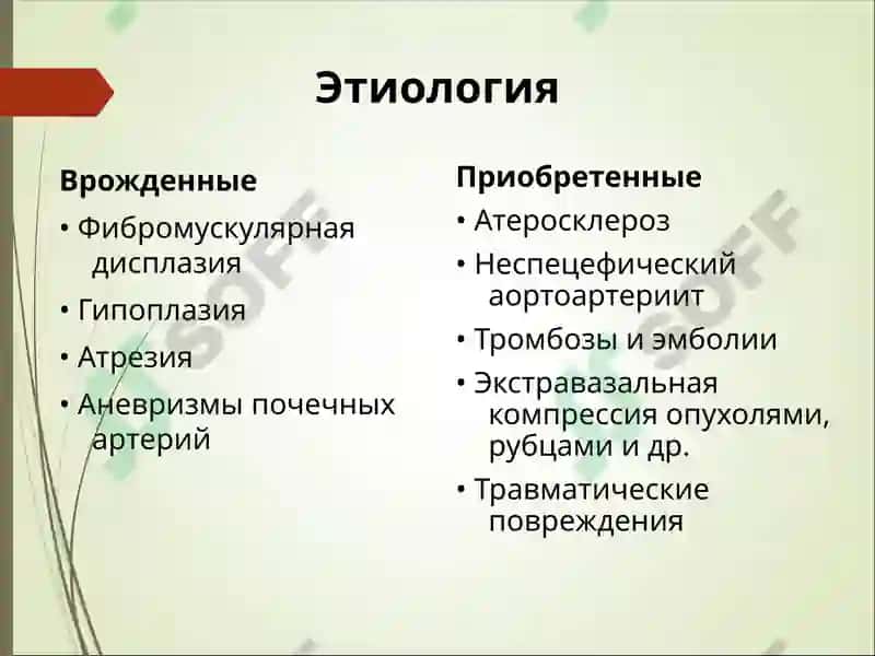 Вазоренальная гипертензия 5