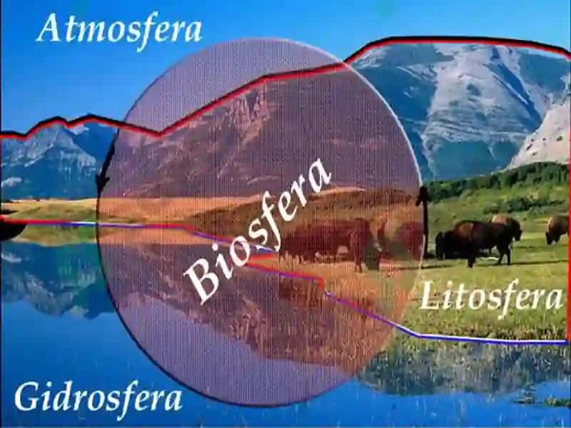 Geografik qobiq va tabiat komplekslari 5