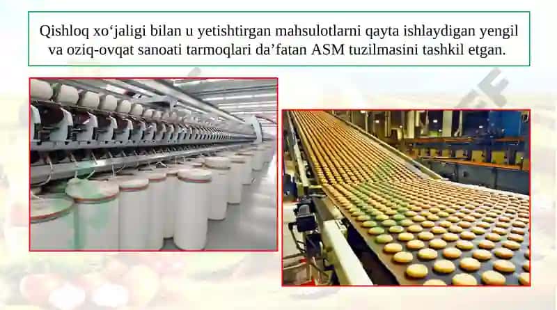 Agrosanoat Majumasi 5