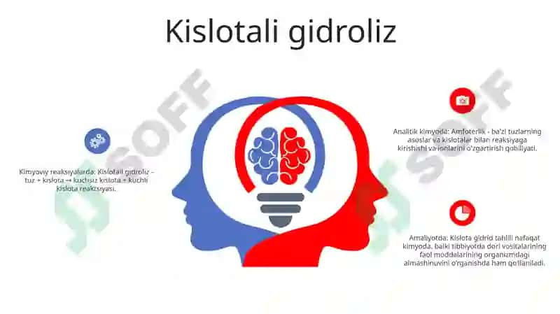 Gidroliz va Amfoterlikning Analizda Ishlatilishi 5