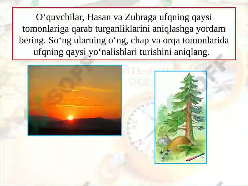 AMALIY MA SHG‘ULOT 5