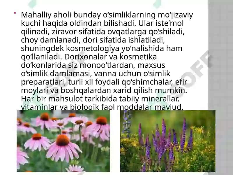 O'zbekistondagi foydali o'simliklar 5